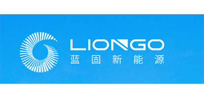 江苏蓝固新能源科技有新公司